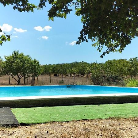 Rod Ranch Livestock - Stanza Doppia Con Letti Singoli Villa Campagnano Di Roma Exterior foto