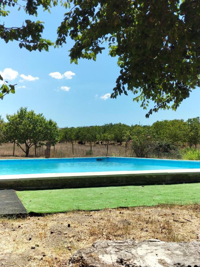 Rod Ranch Livestock - Stanza Doppia Con Letti Singoli Villa Campagnano Di Roma Exterior foto